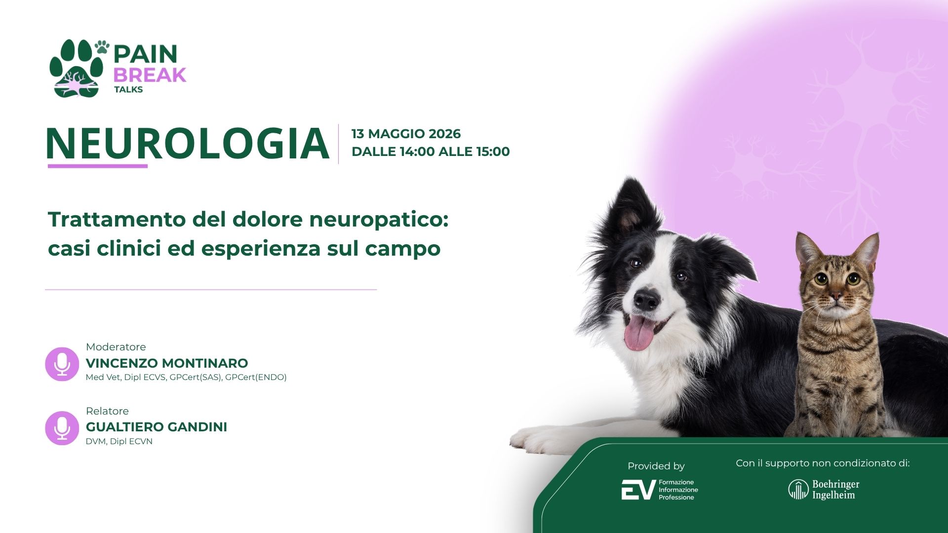 Anteprima Neurologia